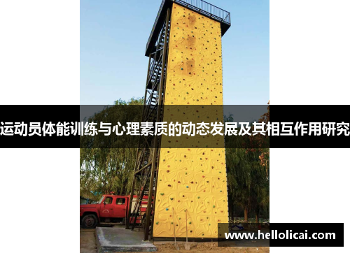 运动员体能训练与心理素质的动态发展及其相互作用研究
