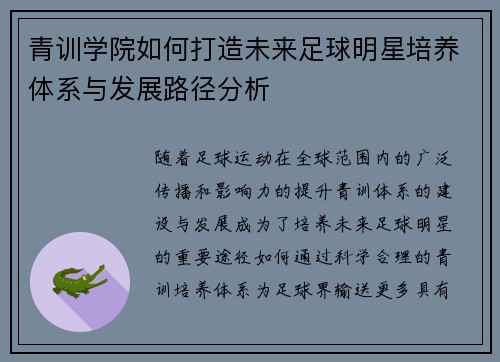 青训学院如何打造未来足球明星培养体系与发展路径分析