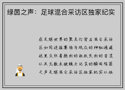 绿茵之声：足球混合采访区独家纪实